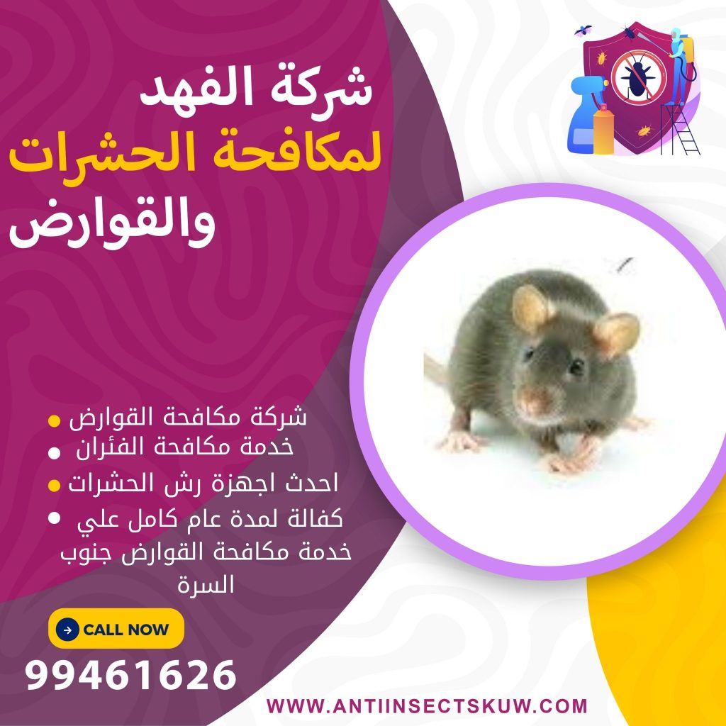 شركة مكافحة قوارض جنوب السرة