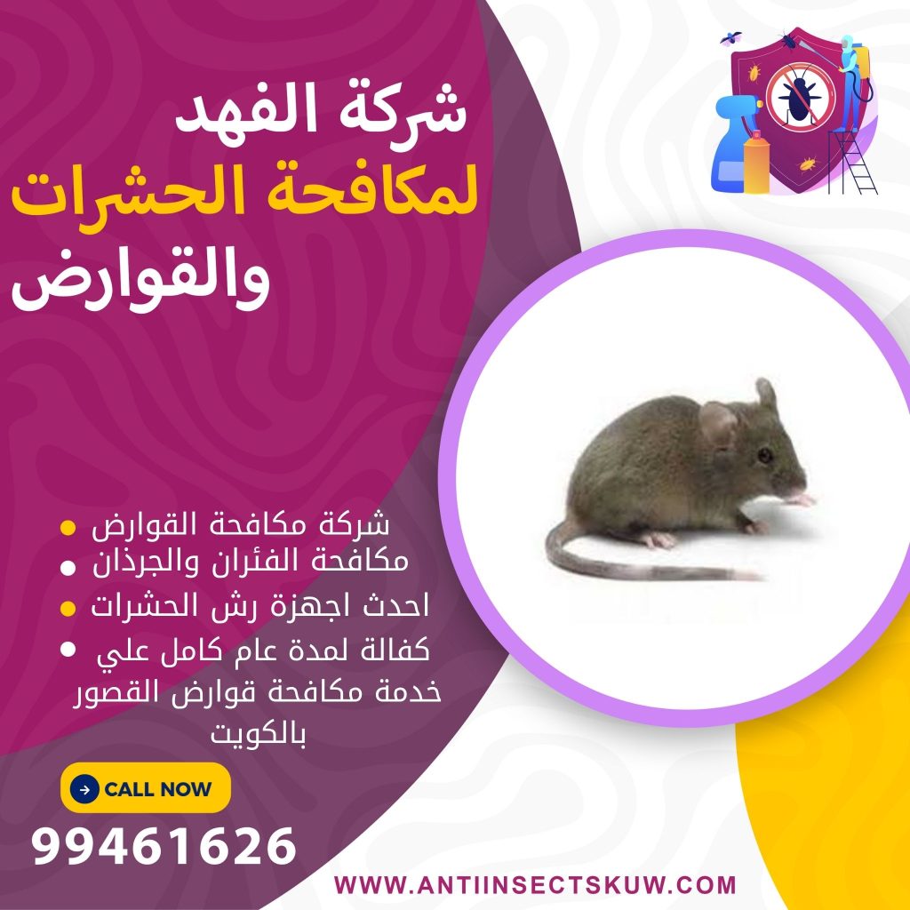 شركة مكافحة قوارض القصور 
