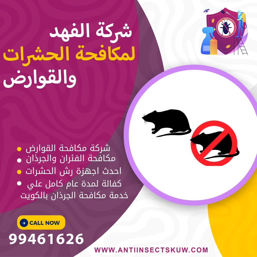 شركة مكافحة الجرذان بالكويت