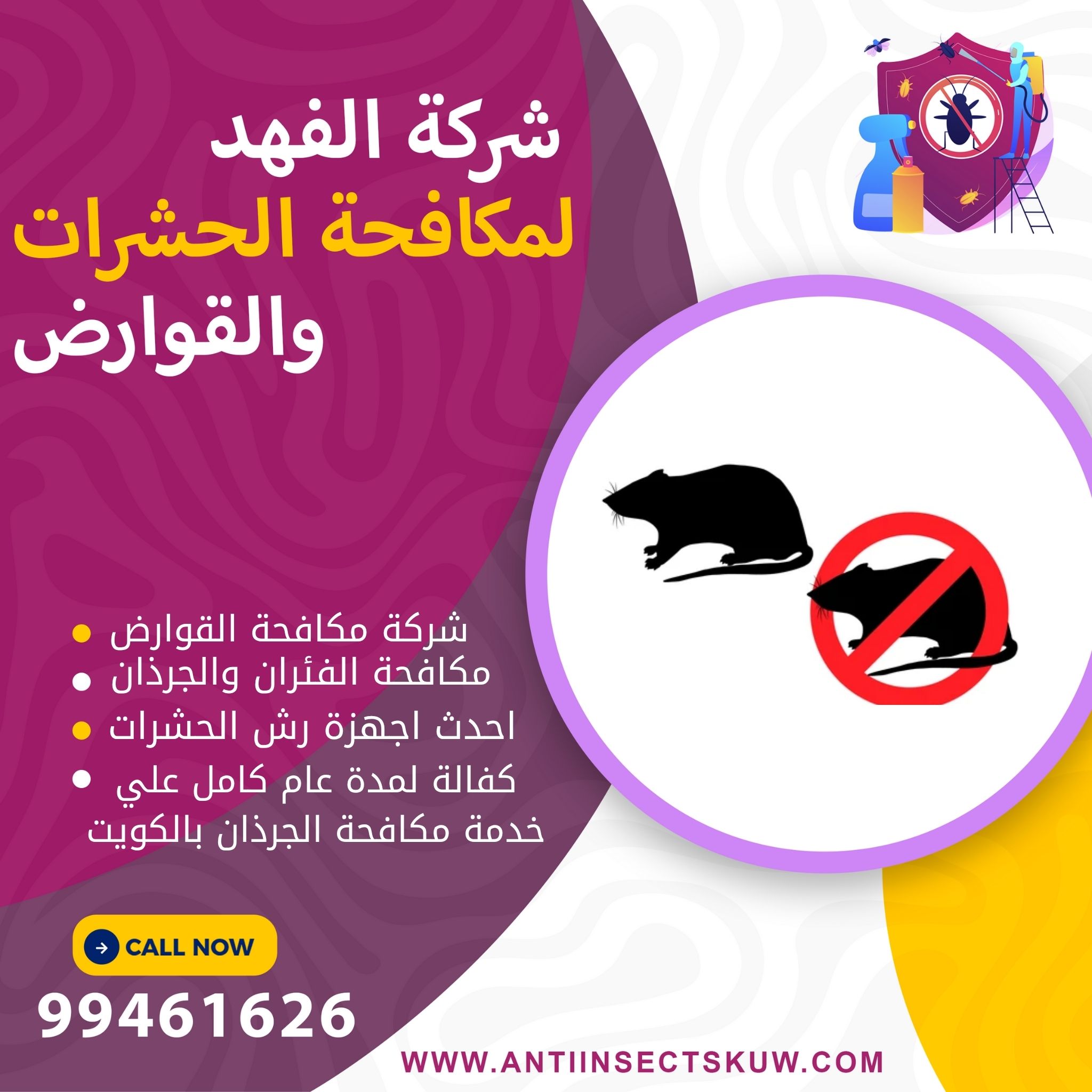 شركة مكافحة الجرذان بالكويت