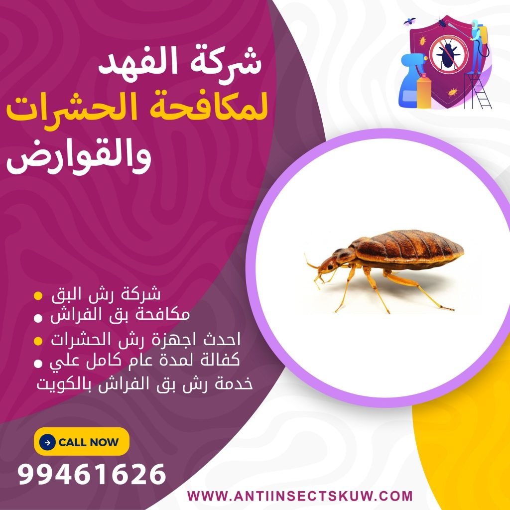 شركة رش بق الفراش بالكويت