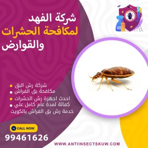 شركة رش بق الفراش بالكويت
