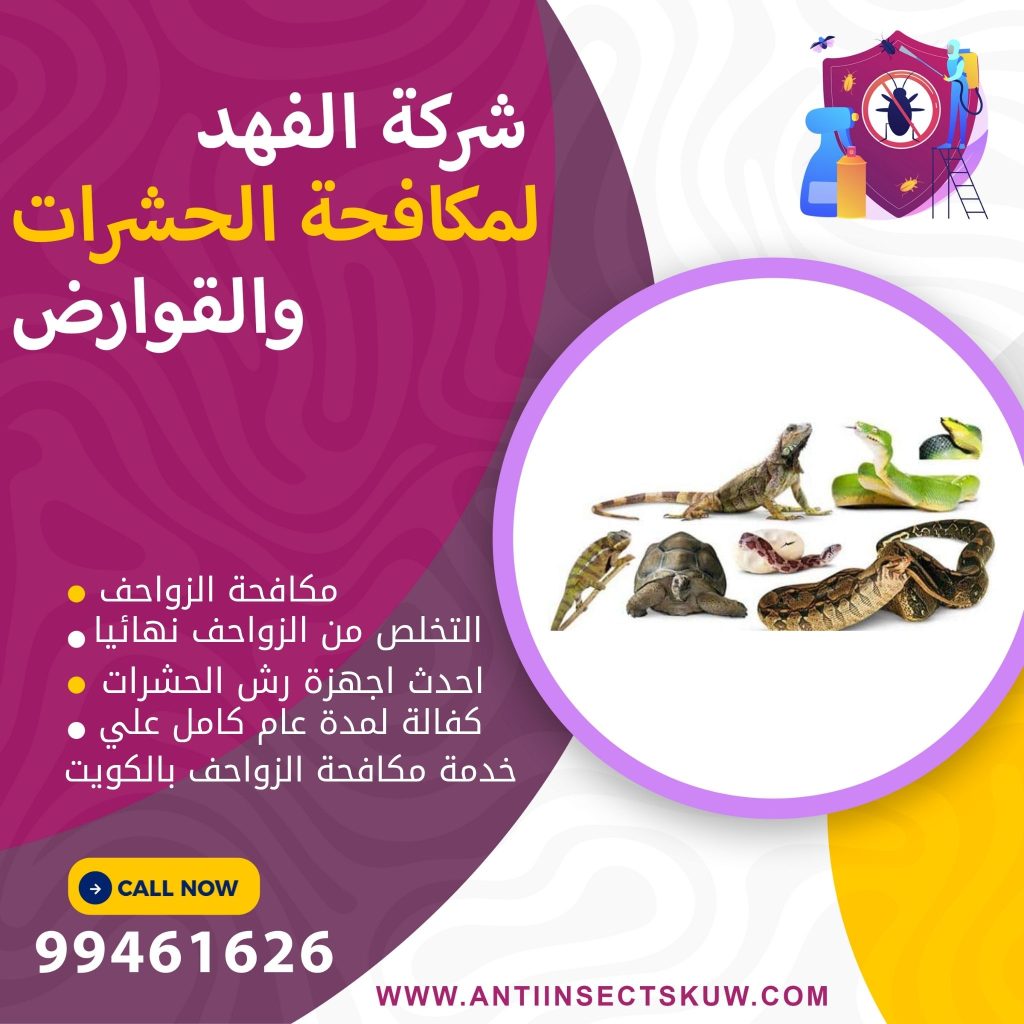 شركة مكافحة الزواحف بالكويت 