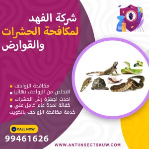 شركة مكافحة الزواحف بالكويت 