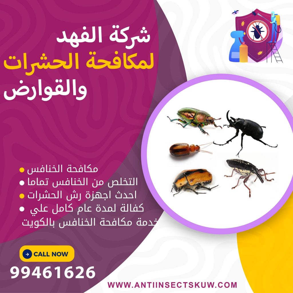 شركة مكافحة الخنافس بالكويت