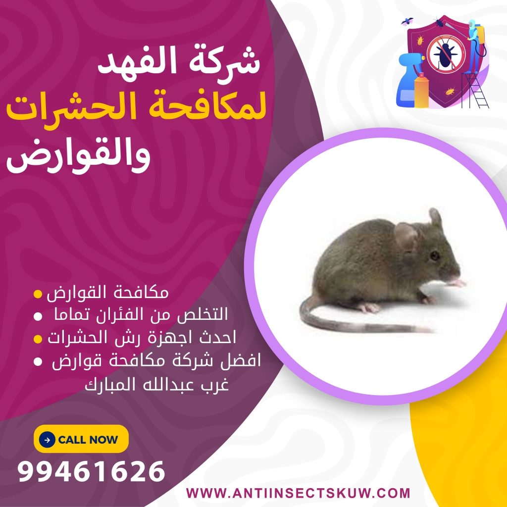 شركة مكافحة قوارض غرب عبدالله المبارك
