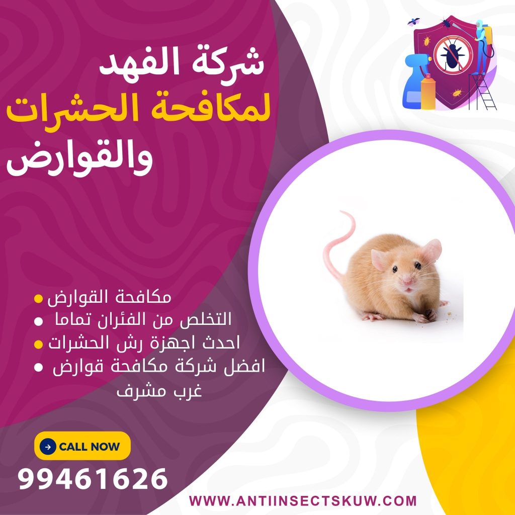 شركة مكافحة قوارض غرب مشرف