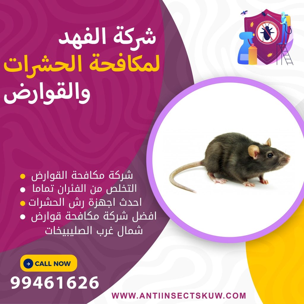 شركة مكافحة قوارض شمال غرب الصليبيخات