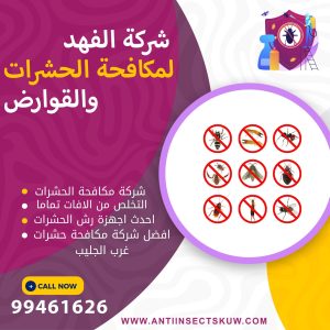 شركة مكافحة حشرات غرب الجليب