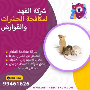 شركة مكافحة فوارض خيطان الجديدة