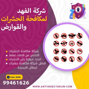 شركة مكافحة حشرات خيطان الجديدة