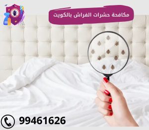 شركة رش حشرات الفراش بالكويت