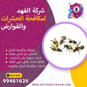 شركة ازالة النحل بالكويت