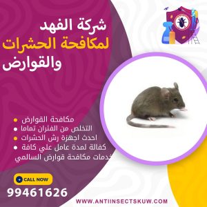 شركة مكافحة قوارض السالمي