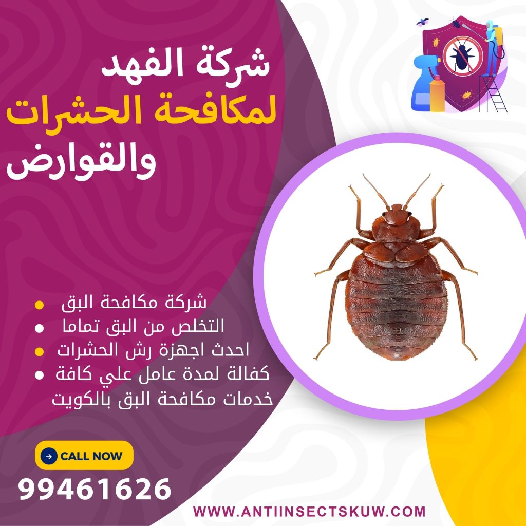 شركة مكافحة البق بالكويت