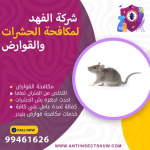 شركة مكافحة قوارض بنيدر