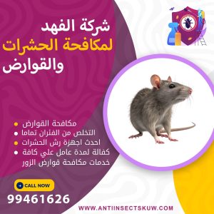 شركة مكافحة قوارض الزور