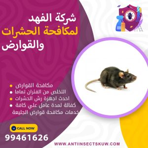 شركة مكافحة قوارض الجليعة