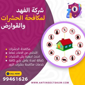 شركة مكافحة حشرات الزور