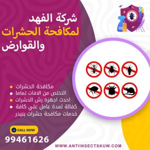 شركة مكافحة حشرات بنيدر