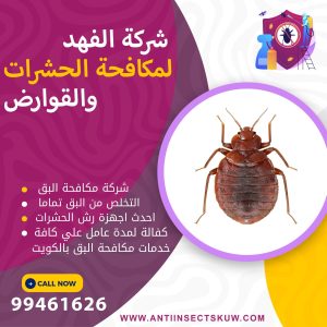 شركة مكافحة البق بالكويت