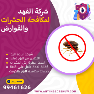 شركة ابادة البق بالكويت