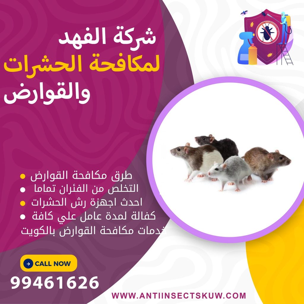 طرق مكافحة القوارض بالكويت