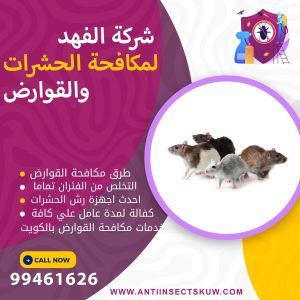 طرق مكافحة القوارض بالكويت