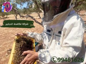 شركة مكافحة الدبابير بالكويت