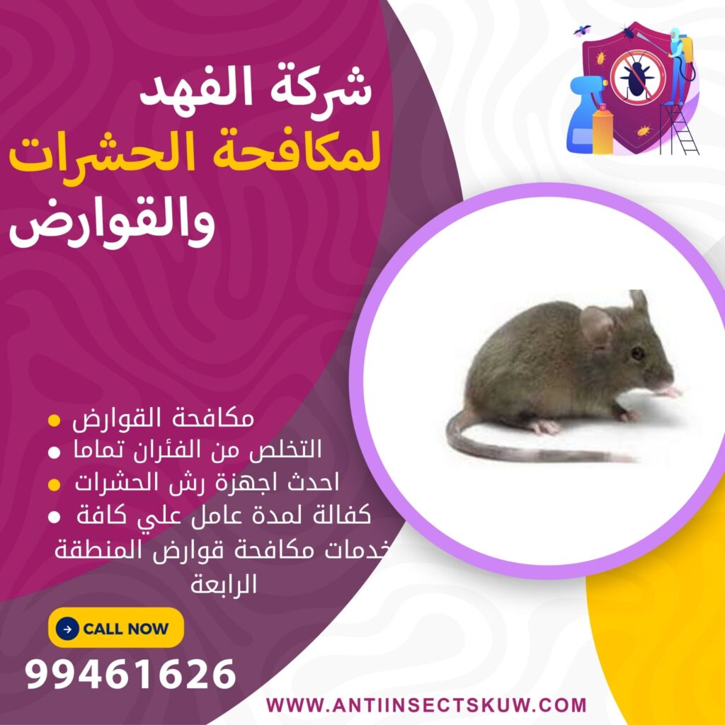 شركة مكافحة قوارض المنطقة الرابعة