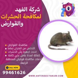 شركة مكافحة قوارض المنطقة الرابعة