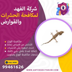 شركة مكافحة الوزغ بالكويت